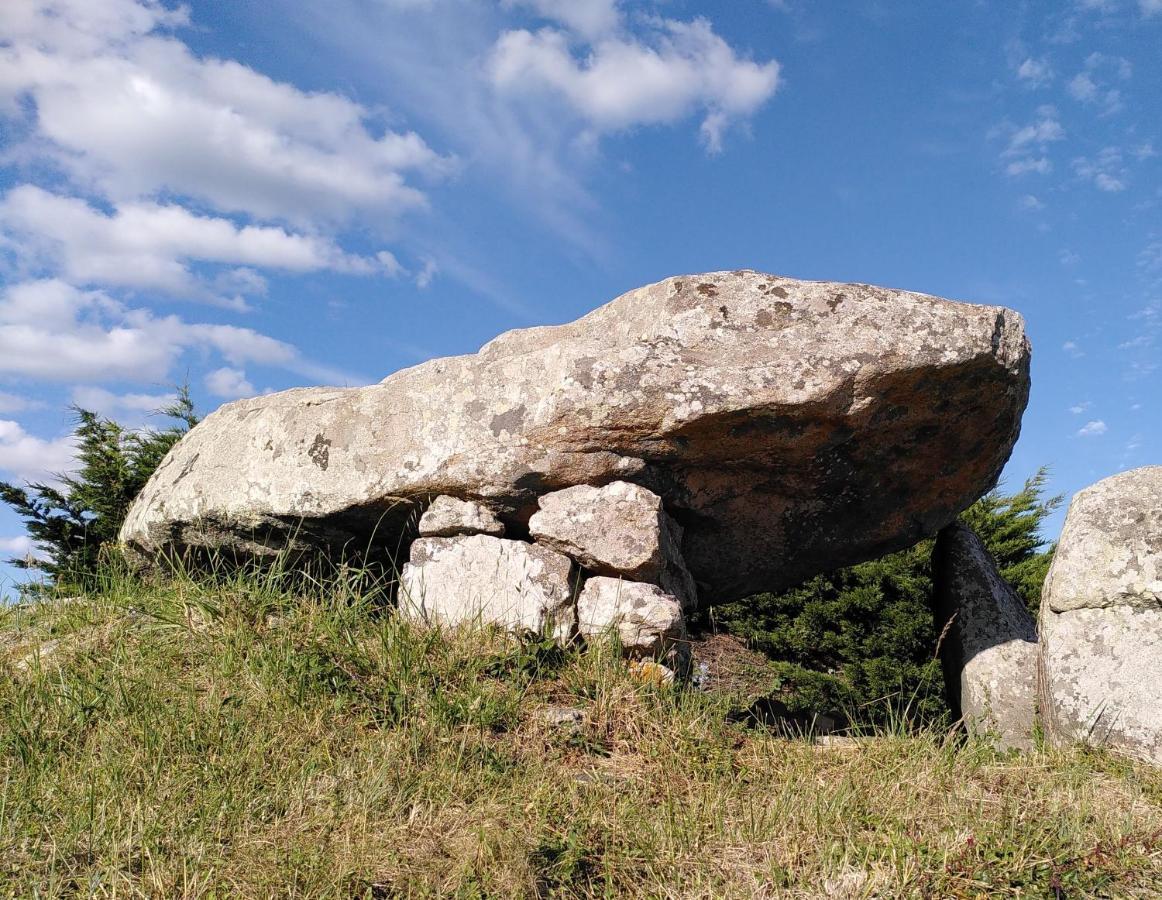 Le Studio Du Dolmen A 普劳哈内尔 外观 照片